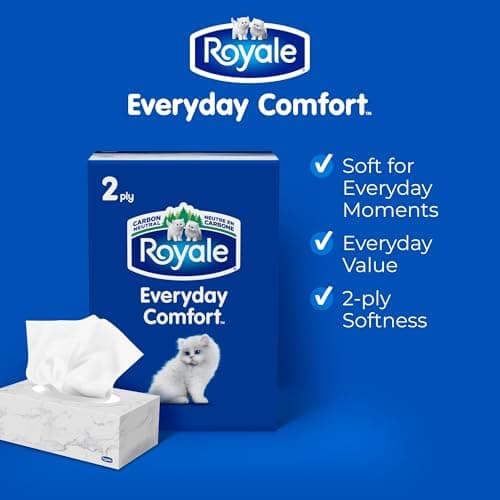 Royale Everyday Comfort 2 Ply Facial Tissue, 6 Tissue Boxes, 126 Tissues per Box