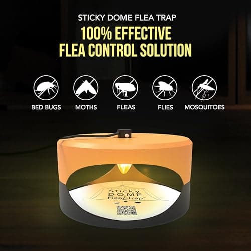 ASPECTEK Sticky Dome™ Flea Trap – 2 Pack | Indoor Insect Trap with 2 Sticky Discs, Odorless (Orange & Dark Gray)