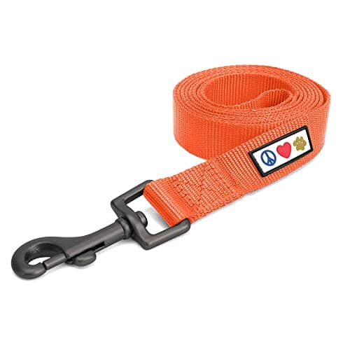 Pawtitas Solid Dog Leash Puppy Training Lead Orange 2-XSmall or Cats Daily Use Outdoor Control Laisse Solide Pour Chien Chiot Chat Orange 1.8 m