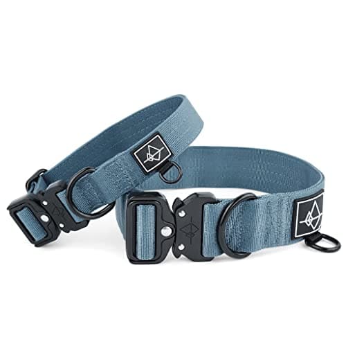 Made to ROAM Premium Dog Collar - Adjustable Heavy Duty Nylon Collar with Quick-Release Metal Buckle (California Horizon, Classic Size 4)