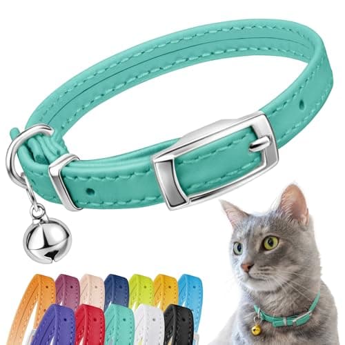 CollarDirect Leather Cat Collar with Bell - Kitten Collar, Small and Big Cat Collar for Boy Cats, Girl Cats with Safety Elastic Strap (Neck Fit 8"-11", Mint Green)