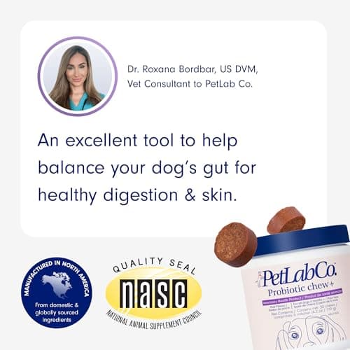 PetLab Co. Probiotics for Dogs - Support Gut Health, Itchy Skin, Seasonal Allergies, and Yeast with Each Tasty Chew - Dog Probiotics - Safe for Small, Medium and Large Dogs - Packaging May Vary