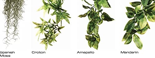 Exo Terra Jungle Plant - Amapallo - Small