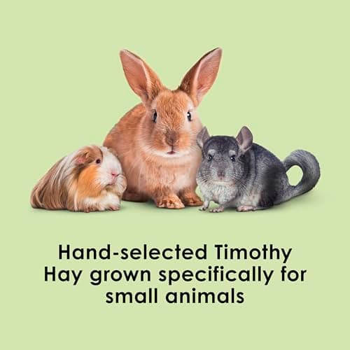 Kaytee Timothy Hay, 48-oz Bag