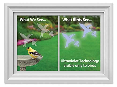 WindowAlert Hummingbird Anti-Collision Decal - UV-Reflective Window Decal to Protect Wild Birds from Glass Collisions 2-Pack - Made in The USA
