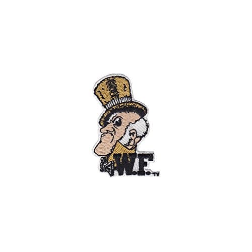 Tervis Wake Forest Vault Emblem Individual Tumbler, 16 oz, Clear -
