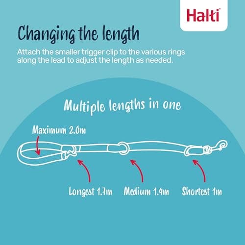 Halti Training Leash - Multifunctional Double-Ended Dog Leash, Ideal for Anti-Pulling Dog Training. Lightweight & Durable. Suitable for Medium to Large Dogs & Puppies (Size Large, Forest Green, 2m)
