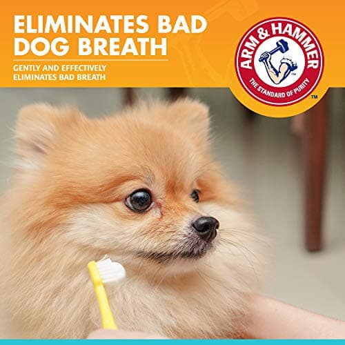 Arm & Hammer Dog Dental Care Fresh Breath Enzymatic Toothpaste for Dogs | No More Doggie Breath | Safe for Puppies, Advanced Care, Chicken Flavor
