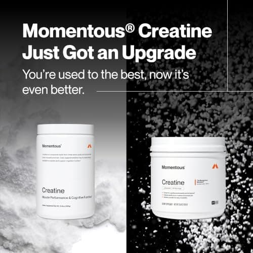 Momentous Creatine Monohydrate Powder - Creatine Powder - Supports Strength, Lean Muscle, & Recovery for Men & Women - NSF Certified for Sport - 5 g per Serving - 90 Servings