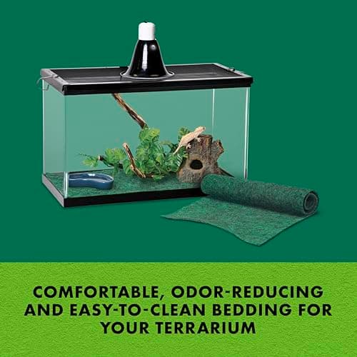 Zilla 10986 Terrarium Dish, Medium, Colors Vary