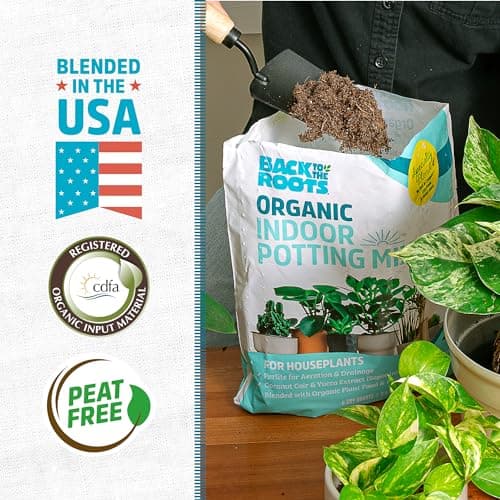 Back to the Roots 100% Organic Indoor Potting Mix (6 Quart), Promotes Healthy Houseplant Growth, Made in The USA