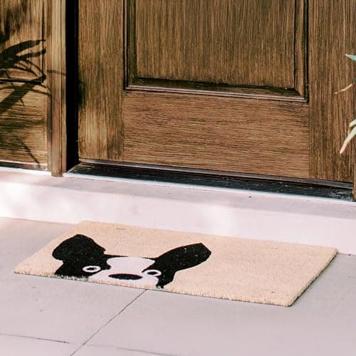 THEODORE MAGNUS Dog Door Mat - Welcome Mat for Front Door with Non-Slip Backing - Durable Doormat - Perfect for Outside Entrance Matt - Outdoor/Indoor - French Bulldog - 17" x 30"