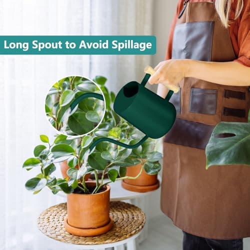 Watering Can Indoor Plants, 35oz Small Watering Can Indoor Stainless Steel Metal Watering Can Modern Decorative Watering Pot with Long Spout for Indoor House Plant Bonsai Garden Flowers (Alpinegreen)