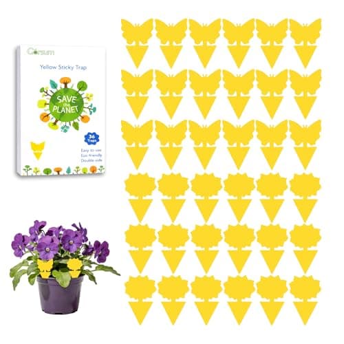 Garsum Fruit Fly Trap Indoor and Outdoor, 36 Pack Gnat Sticky Traps for House Plants, Flying Insect Trap for Fungus Gnat,Mosquitos, White Flies
