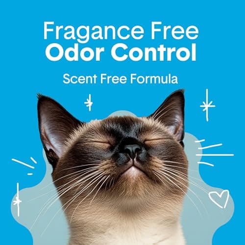 Boxie® Unscented 30 Day Odor Control Clumping Clay Cat & Kitty Litter 16 lb, 99.9% Dust-Free, Hard Flat Top® Clumps, No Fragrances No Fillers, Long-Lasting, Easy to Scoop