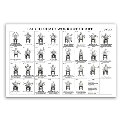 Tai Chi Chair Workout Chart Poster Print Seated Exercises for Beginners and Seniors Canvas Wall Art Living Room Bedroom Home Gym Decor 12x18 Inch Unframed A