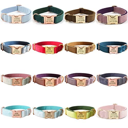 PETDURO Custom Dog Collar Personalized with Name Engraved Gold Metal Buckle for Large Medium Small Boy and Girl Dogs - Dog Leash and Bow Tie Set Available - Soft Comfy Velvet (Brown G, L)