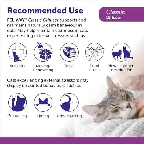 FELIWAY Classic Diffuser Refill, Promotes Calmness in Cats & Kittens, VHP Registered NN.P4B8, includes 1 Refill, Lasts 30 Days, Cat Calming Pheromones, 48ml