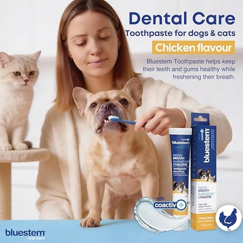 bluestem Cat and Dog Toothpaste – Scientifically Formulated Coactiv+ Pet Toothpaste Helps Reduce Plaque & Tartar, Freshens Breath, and Promotes Daily Dog and Cat Oral Care – Chicken Flavor (70g)