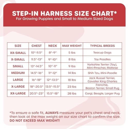 Downtown Pet Supply Step in Dog Harness for Small Dogs No Pull, Medium, Pink - Adjustable Harness with Padded Mesh Fabric and Reflective Trim - Buckle Strap Harness for Dogs