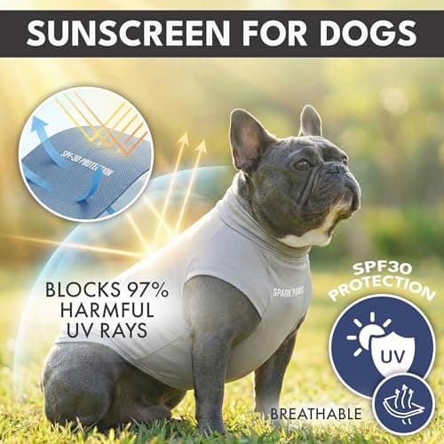 Spark Paws Sunblock Dog T-Shirt, SPF30 Protection, Lightweight Breathable Quick Dry for Dogs with Sensitive Skin - Blue & Grey (Set of 2) - 4XL