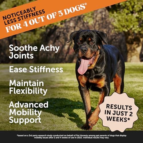 Advanced Formula Hip + Joint Supplement for Dogs - Joint Support with Glucosamine Chondroitin, MSM & Calcium Fructoborate - Fast Acting Mobility + Stiffness for Large Dogs & Seniors (Bacon 90 Ct)