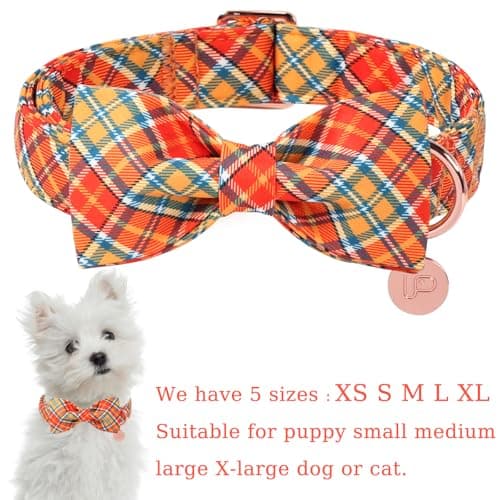 UP URARA PUP Autumn Plaid Dog Collar and Bow Tie Set – Orange Yellow Checkered Adjustable Fall Collar with Maple Leaf Charm for Small Medium Large Dogs, Soft Cotton Pet Collars with Buckle and D-Ring