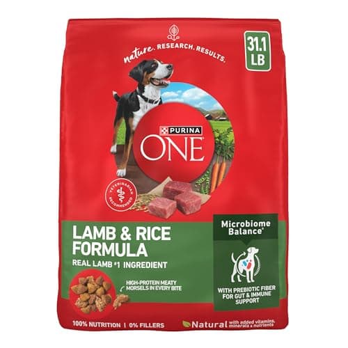 Purina ONE Dry Dog Food Lamb and Rice Formula - 31.1 lb. Bag