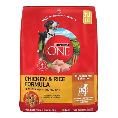 Purina ONE Chicken and Rice Formula Dry Dog Food - 31.1 lb. Bag