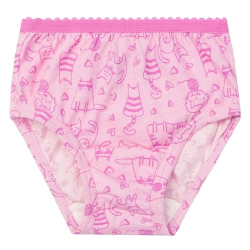 Fruit of the Loom girls Briefs, 6 Pack - Toddler Assortment, 2-3T US