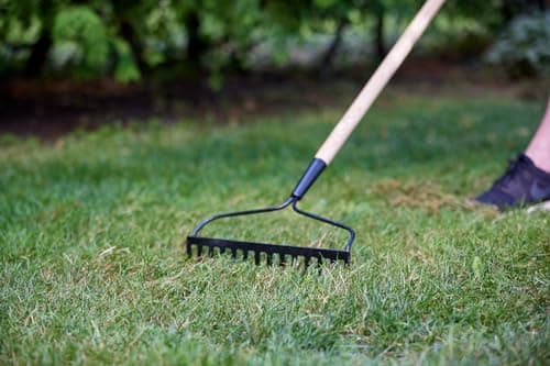 Scotts Turf Builder Grass Seed All Purpose Mix, 5kg (1,230 sq Meters / 13,239 sq feet Coverage) | Sun & Shade Formula to overseed or to Grow a new Thick, Lawn