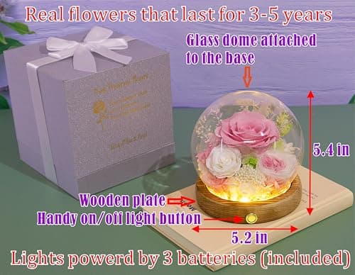 Valley of Rain & Forest Long-Lasting Real Flowers, Unique Floral Gift for You to Send Love for All Occasions, for Indoor Decoration (Pink Rose, White Rose)