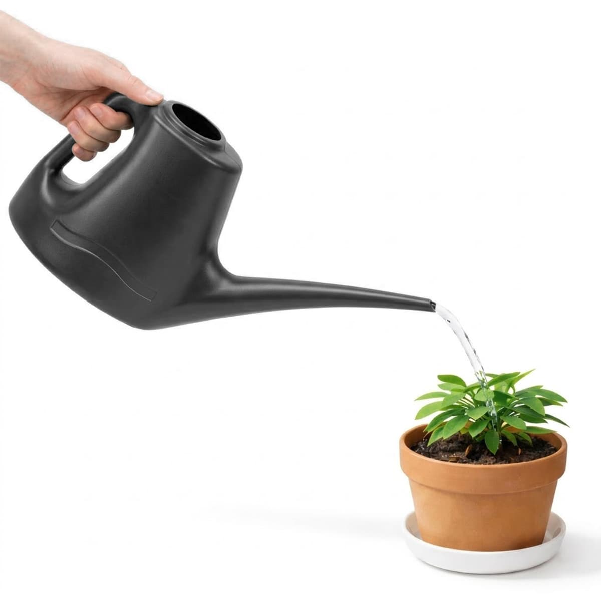 Watering Can 1L for Indoor & Outdoor Plants - Small Watering Jug with Long Spout for Precise Watering for Houseplants, Bonsai, Flowers & Greenhouses 1 L