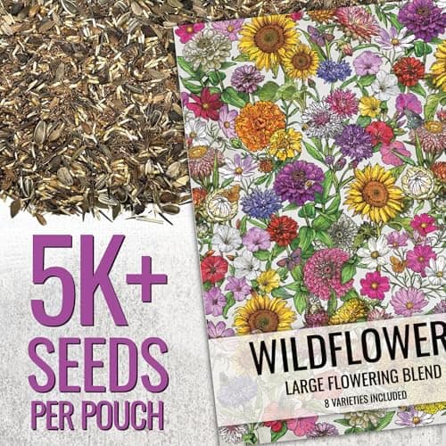 Seed Needs Garden Flower Seeds Large Blooms Mix 1 Ounce Heirloom Bulk Pack