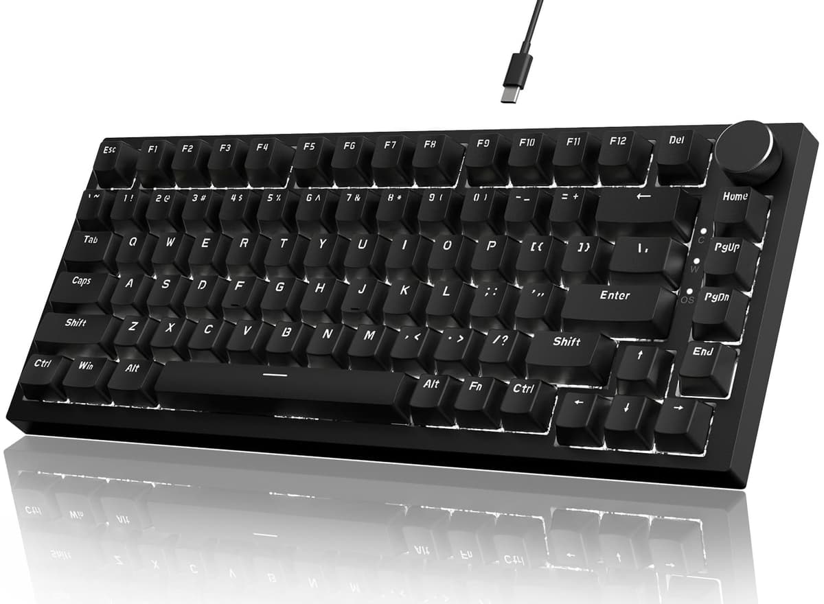 YINDIAO Ajazz AK820 Teclado Mecánico con Perilla,Diseño 75% ANSI,82 Teclas,Teclado para Juegos con Cable,5 Espumas Absorbentes de Sonido,Hot-Swap,Interruptor Rojo,Luz Blanca Hielo,para PC,Mac (Negro)