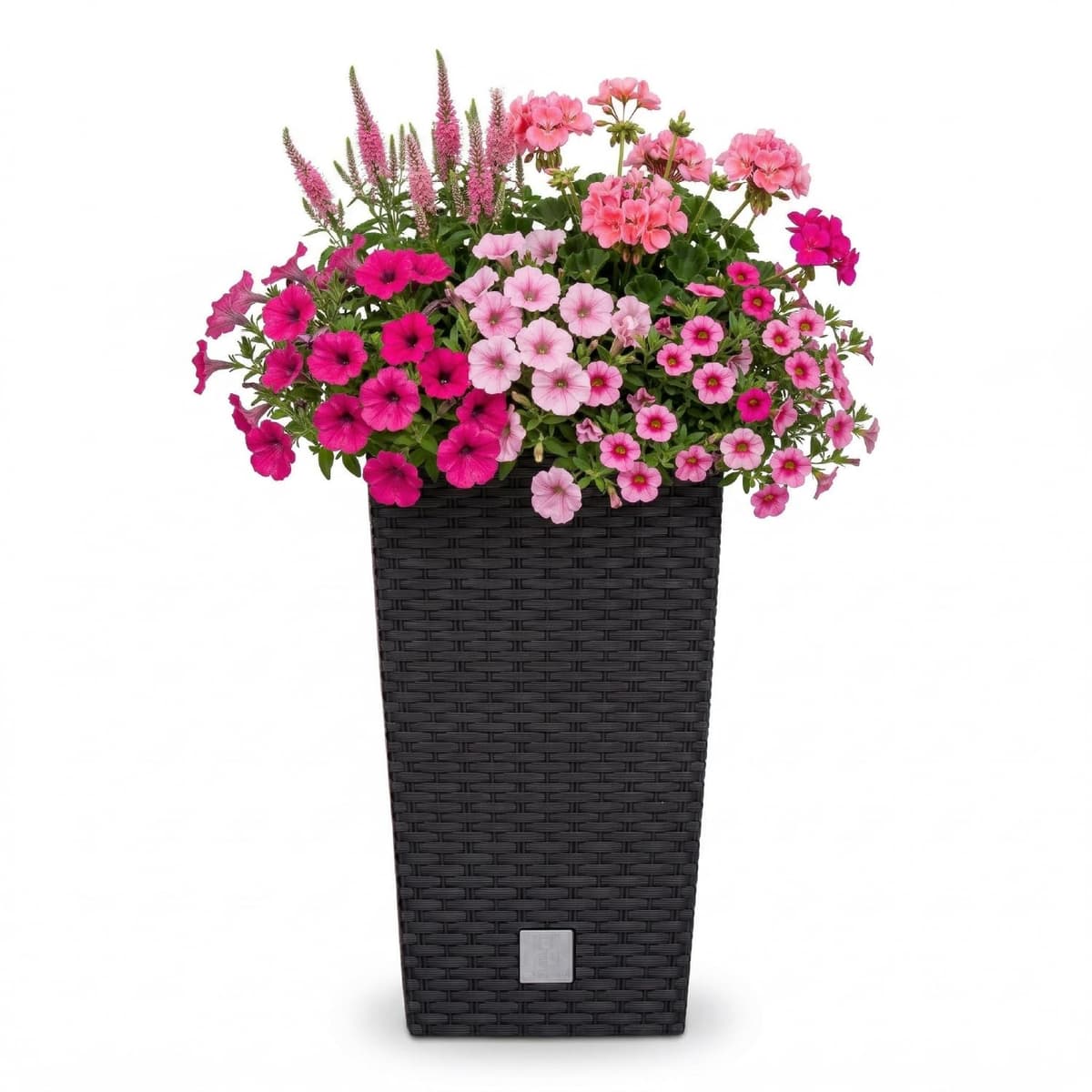 Macetero de ratán Prosperplast 26.6 L Sembradora de antracita Interior exterior con caja interior resistente a la intemperie, negro, 26.5 x 26.5 x 50 cm, DRTS265-S433