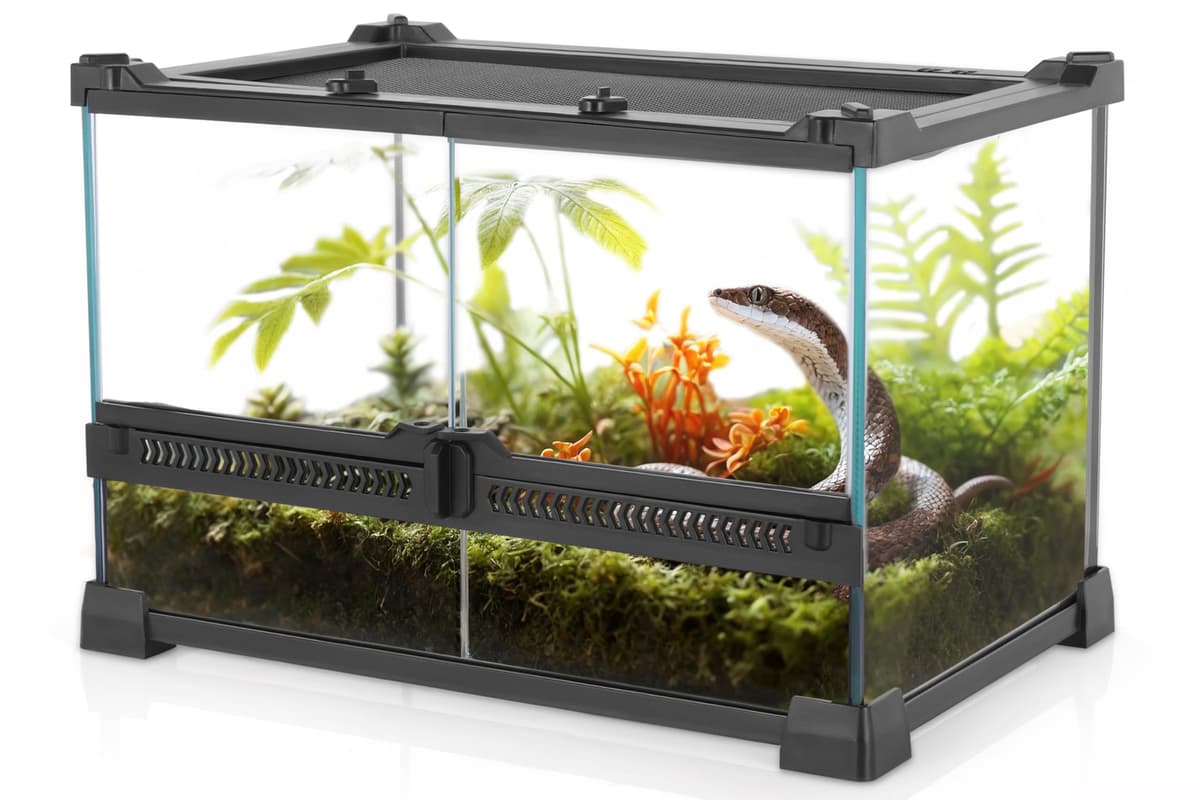 NEPTONION Mini Reptile Glass Terrarium 12"x8"x8" Durable Reptile Habitat Tank with Heat Resistant Aluminum Alloy Frame, Double Swinging Doors for no Jam by Sand and Other Debris