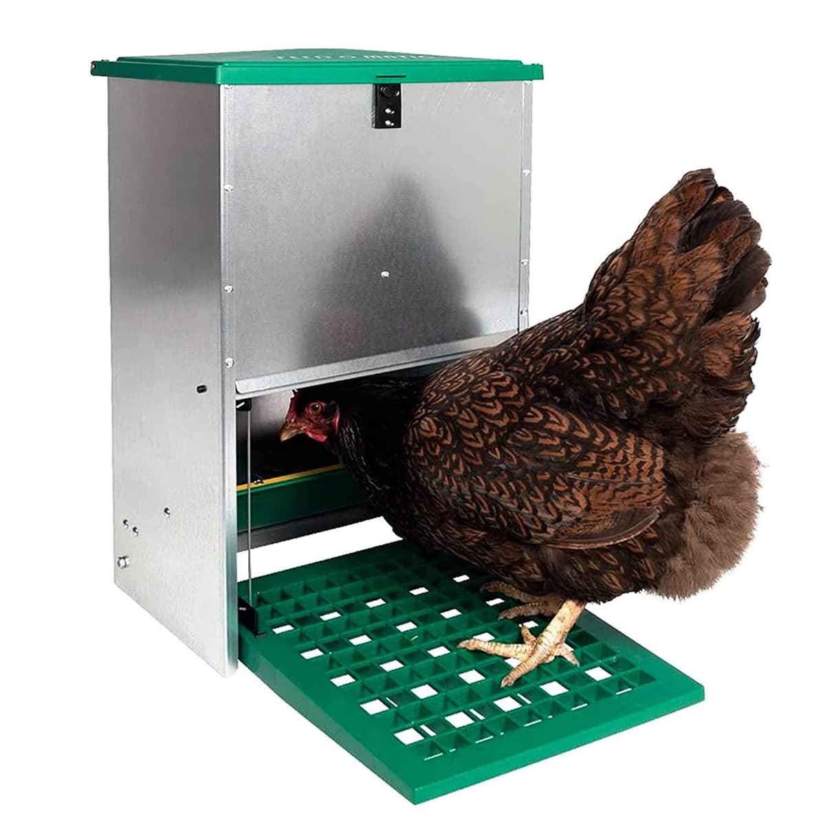 FINCA CASAREJO Comedero gallinas antipájaros - Comedero automático para gallinas - Tolva Exterior - Capacidad 12 kg - Incluye Guía Práctica de Alimentación de Las Gallinas