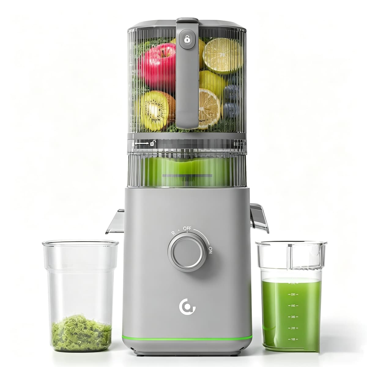 VANDISELL Juicer Bottle