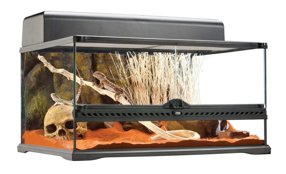 Exo Terra Terrario de cristal, con ventilación frontal única, 60 x 45 x 30 cm
