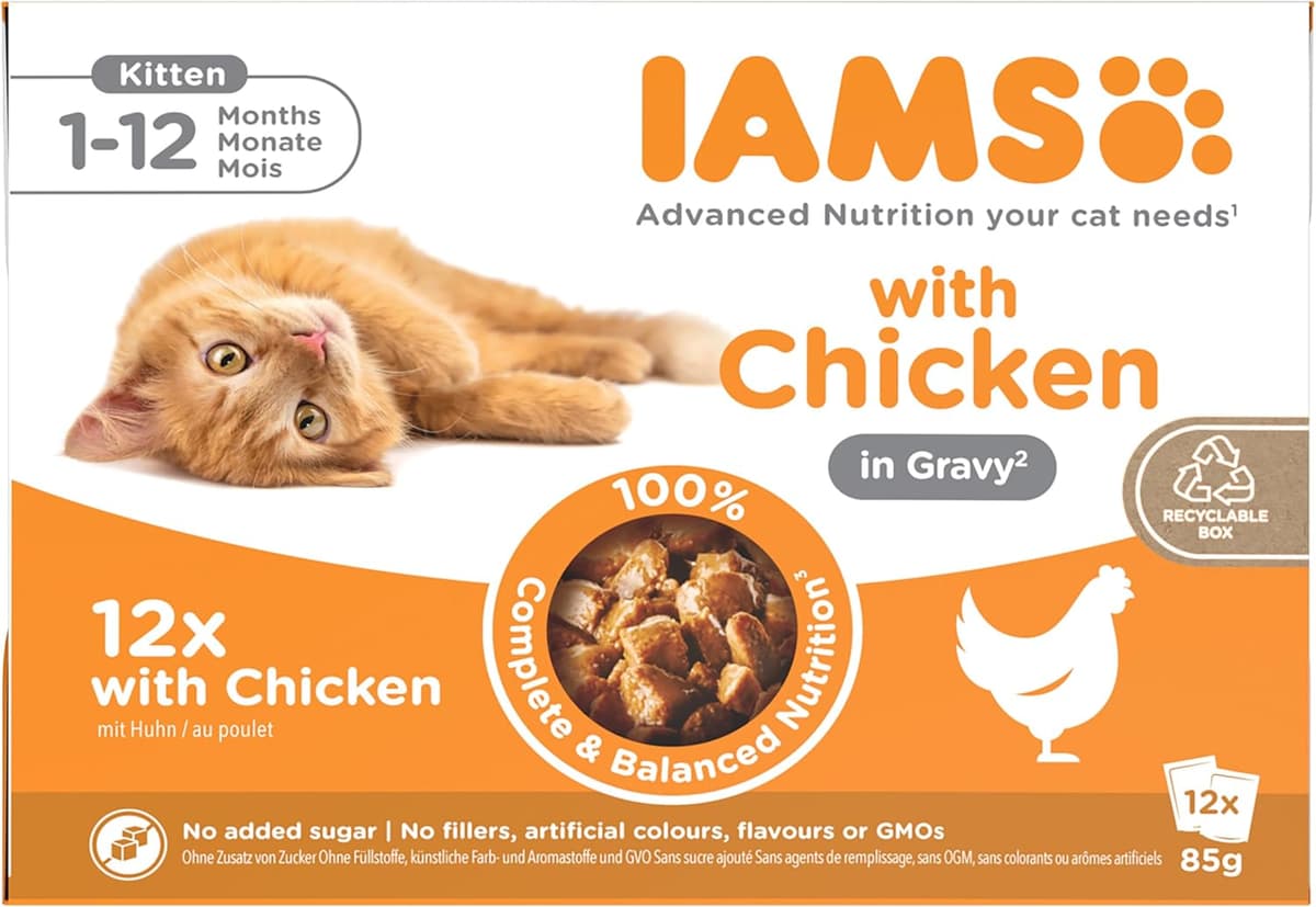 IAMS Kitten Wet Cat Food Chicken in Gravy 12 x 85g