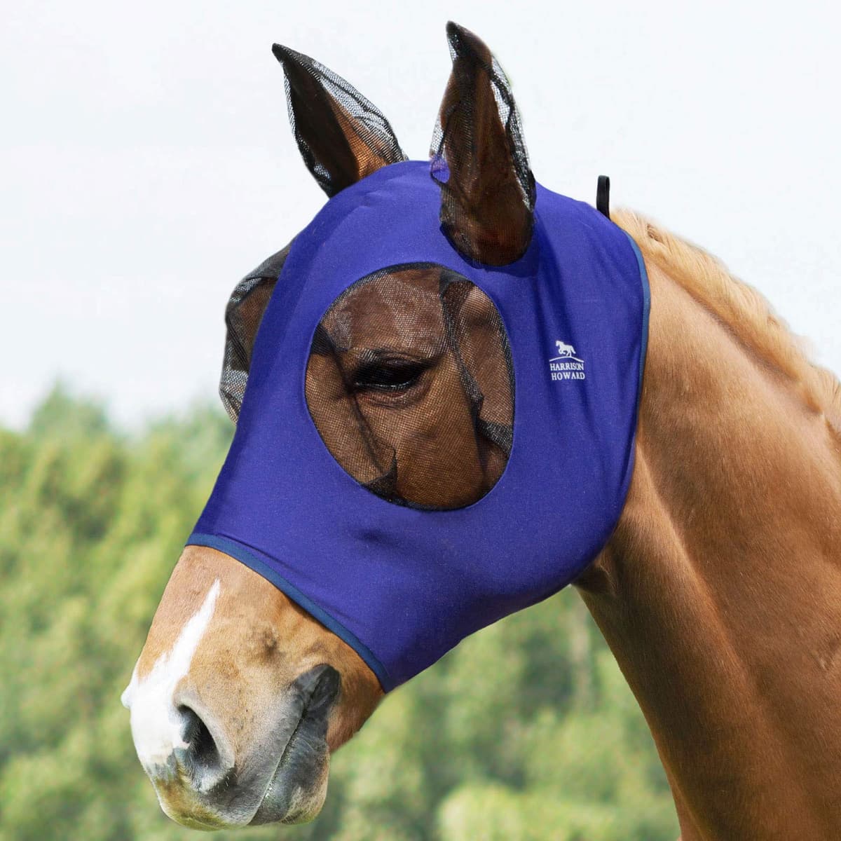 Harrison Howard Máscara elástica para Moscas de Caballo, excelente Comodidad con protección UV, máscara estándar para Caballos, Azul Marino M